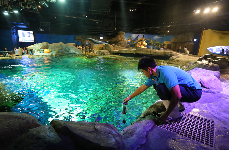 Taking seawater samples from the Grand Aquarium