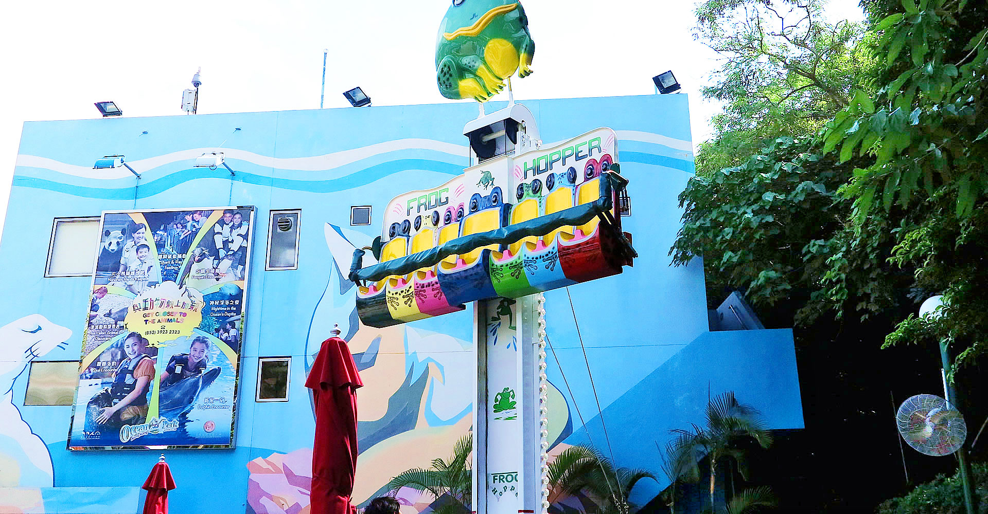 Frog Hopper Attractions Park Experience Ocean Park Hong Kong