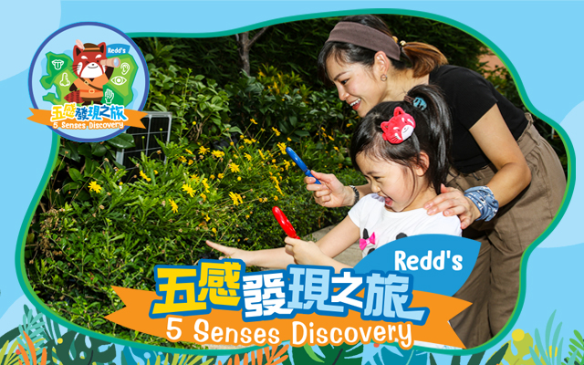 Redds 5 Senses Discovery