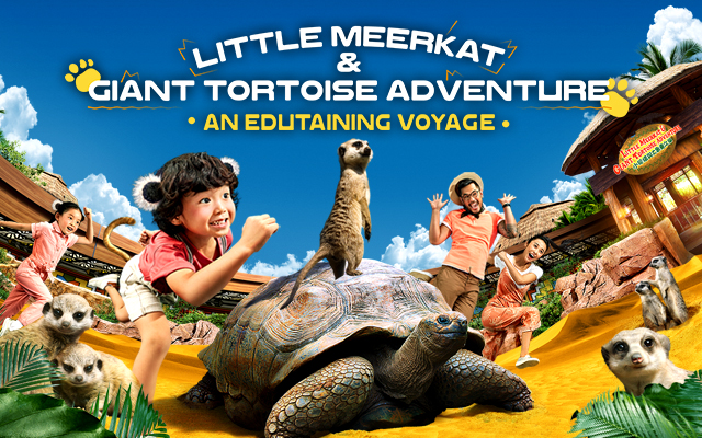 Little Meerkat and Giant Tortoise Adventure