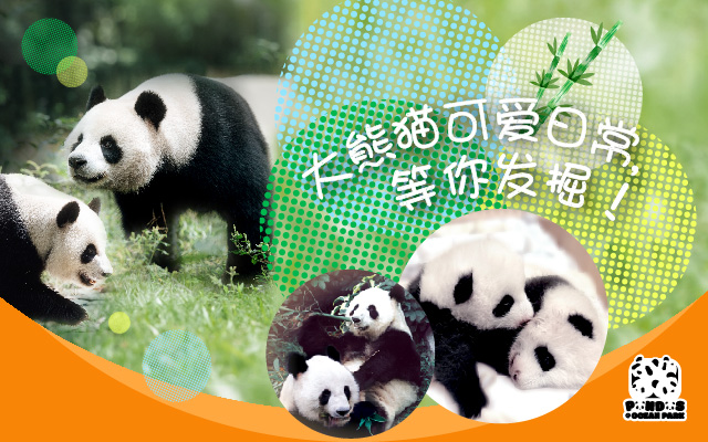 http://media.oceanpark.com.hk/files/s3fs-public/op-gaint-panda-delights-banner-sc-604x400.jpg