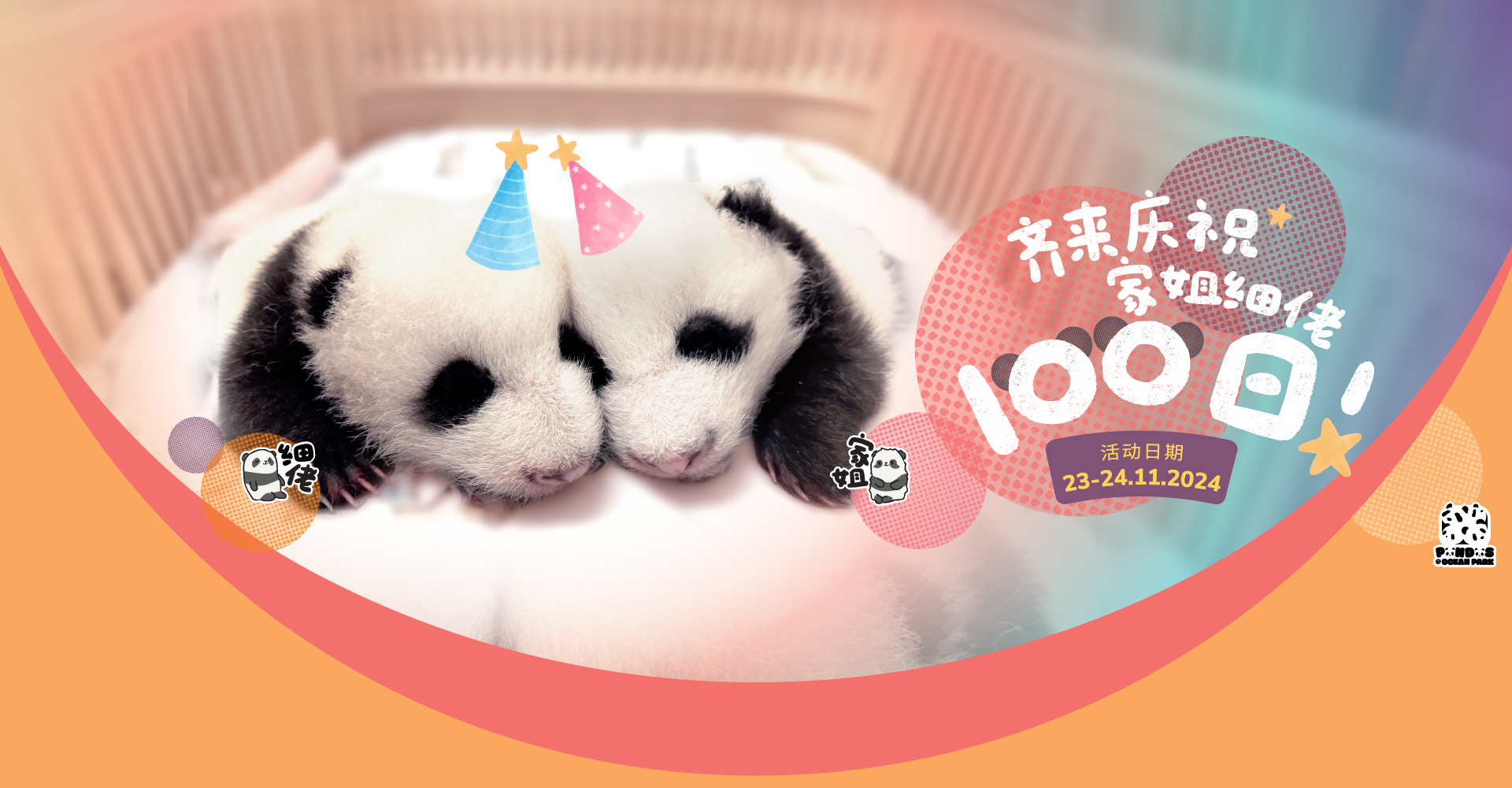 http://media.oceanpark.com.hk/files/s3fs-public/op-panda-100days-1920x1000-sc.jpg