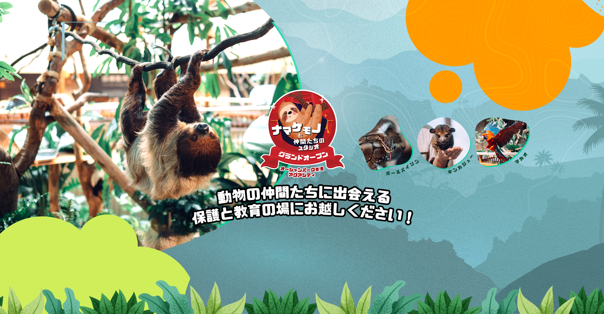 http://media.oceanpark.com.hk/files/s3fs-public/op-sloth-friends-studio-innerpage-banner-desktop-jp.jpg