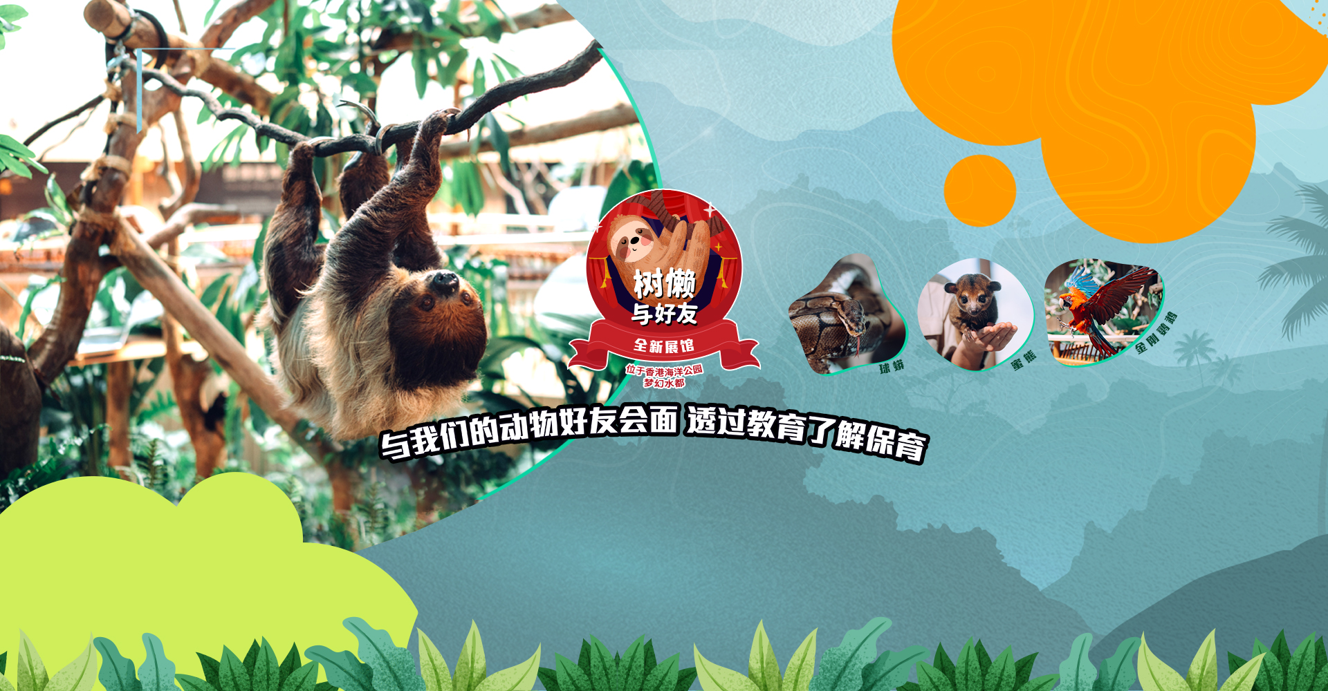 http://media.oceanpark.com.hk/files/s3fs-public/op-sloth-friends-studio-innerpage-banner-desktop-sc.jpg