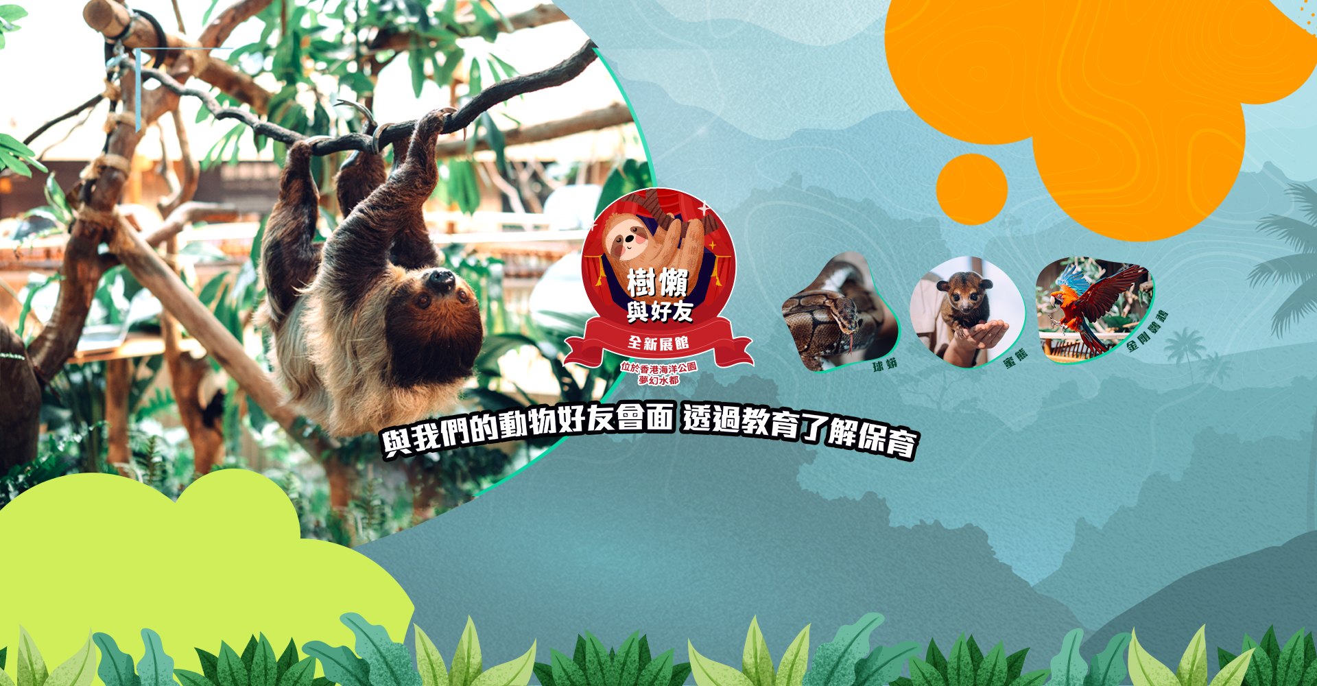 http://media.oceanpark.com.hk/files/s3fs-public/op-sloth-friends-studio-innerpage-banner-desktop-tc.jpg