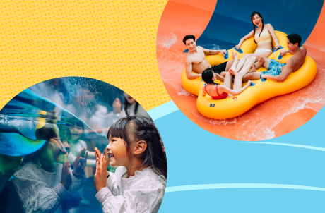 Twin Park More Fun Package Ticket