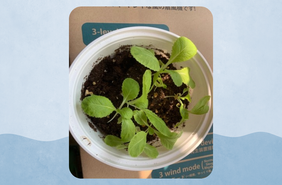 Sexy Chrissie Invites You Into Her Comfy Lair At Ocean Park S Halloween Bash オーシャンパーク