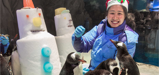 Caption: The happy-feet of penguins at the South Pole Spectacular are waddling together to spend a frosty Christmas with the snowman and our Santa-dressed animal trainer.