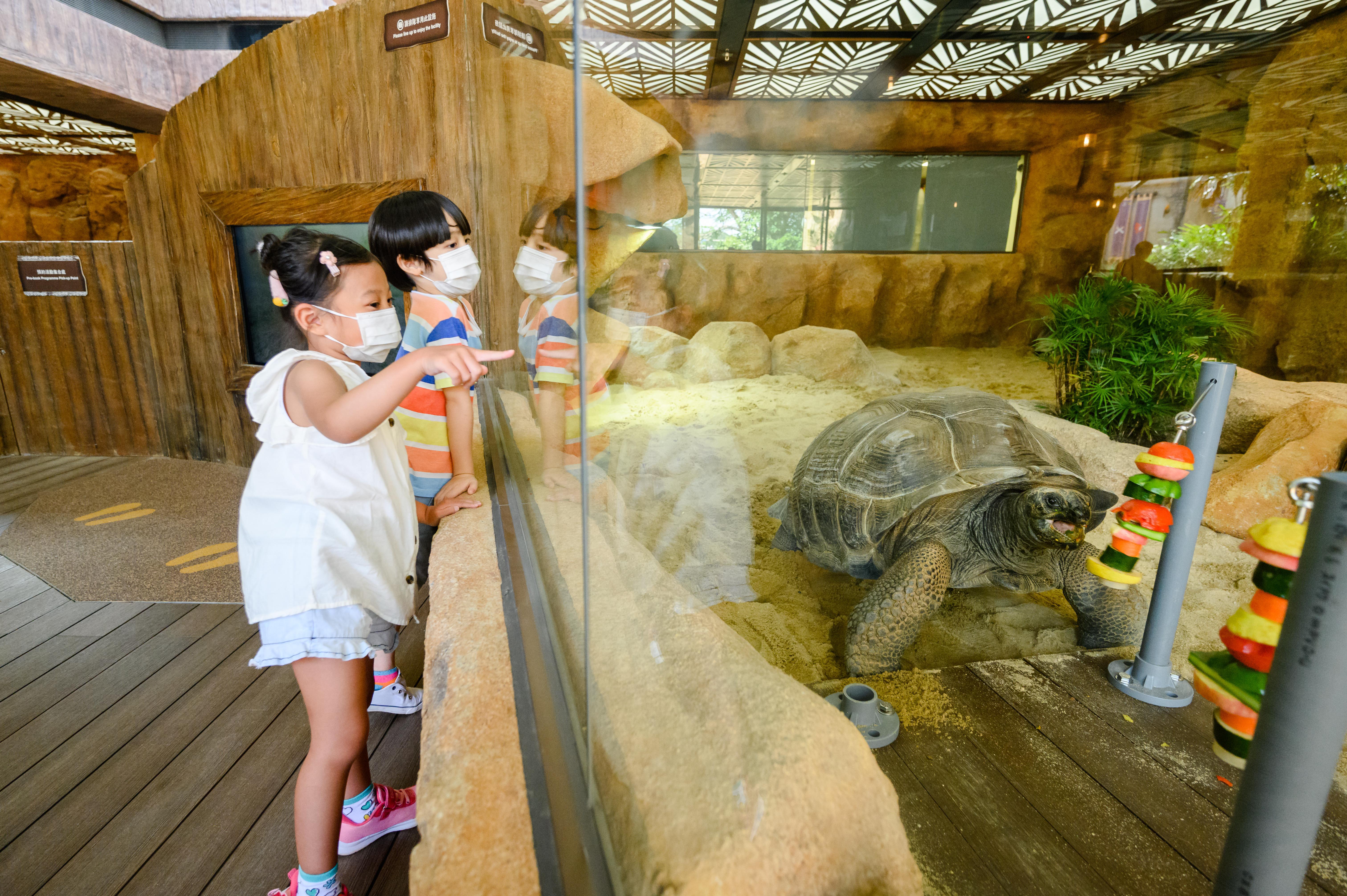 Explorer different exhibits, including Little Meerkat and Giant Tortoise Adventure, to understand how animals adapt to their habitats