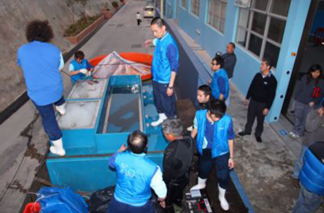 Photo 1: Ocean Park staff were preparing for the return of two Chinese sturgeons to Xiamen.
