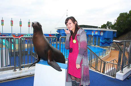 Photo 4 & 5: Ocean Park invited the guests to the Ocean Theatre for Sea Dreams!—a show featuring dolphins and sealions, together with their trainers.  The guests were thrilled to have a close-up encounter with the animal ambassadors.
