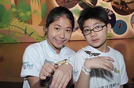 兩位「小小海洋公園動物大使」為大家展示兩隻可愛的小螳螂