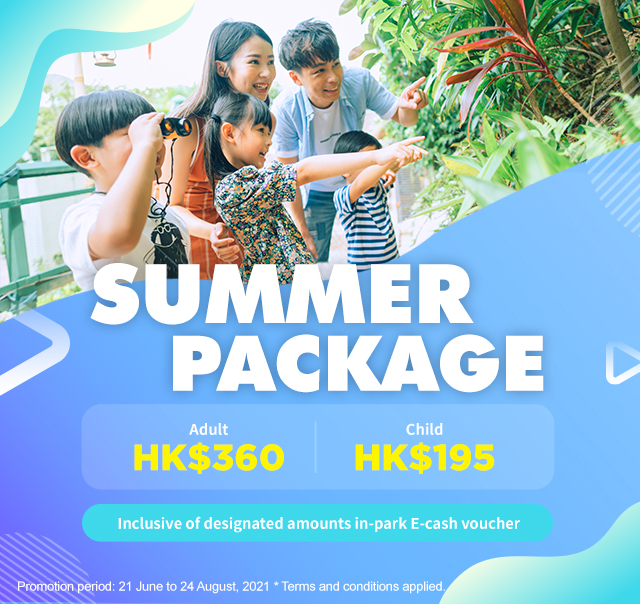 Summer Package 2021