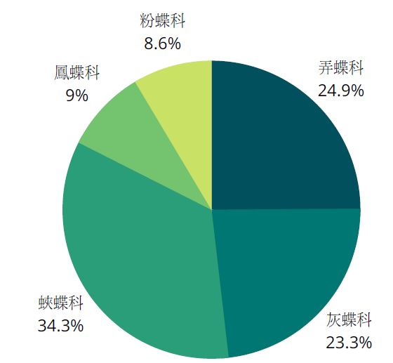 (圖表一：本港五個蝴蝶科的品種數目(截至2020年3月初)