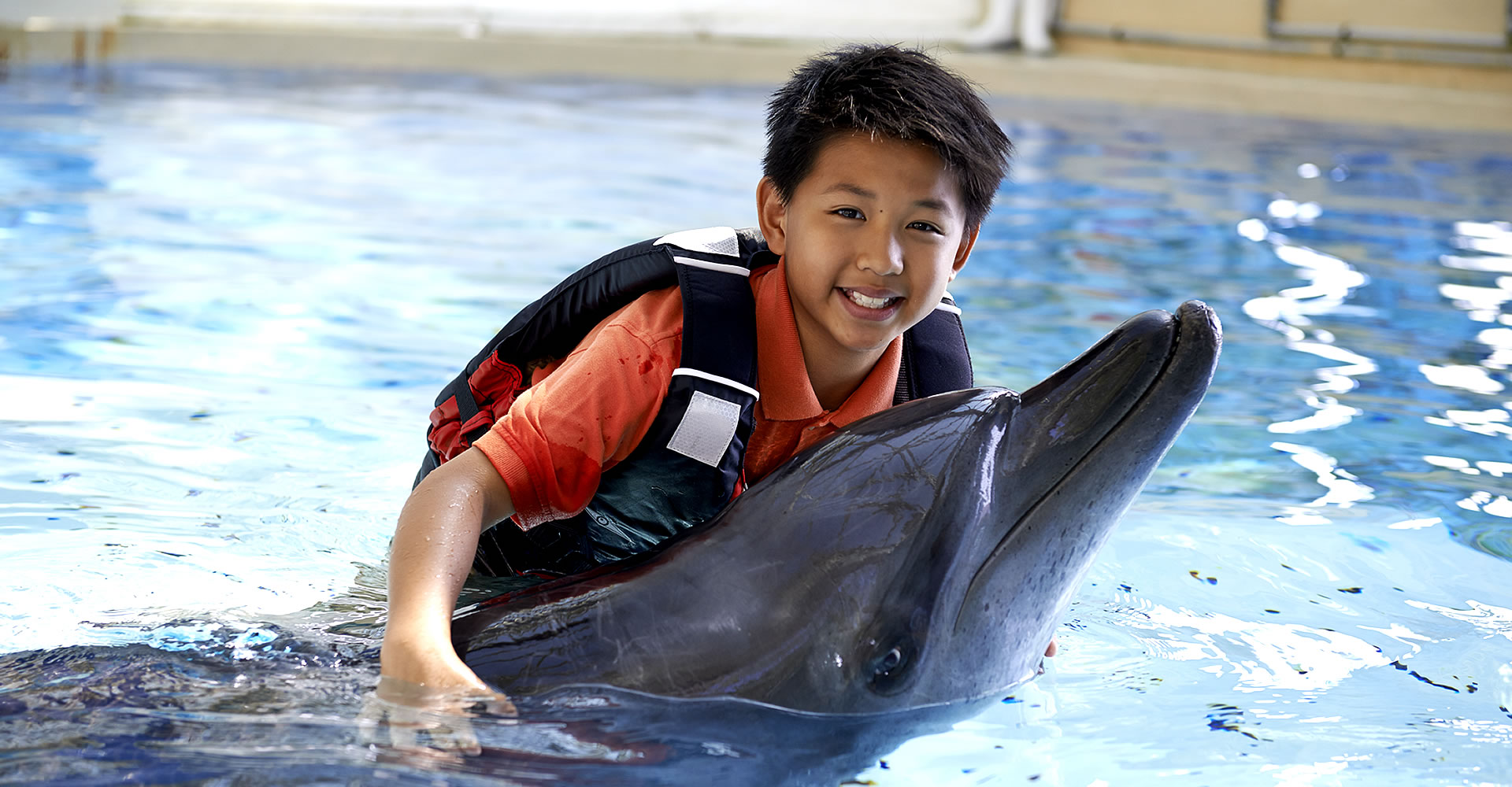 Dolphin Encounter