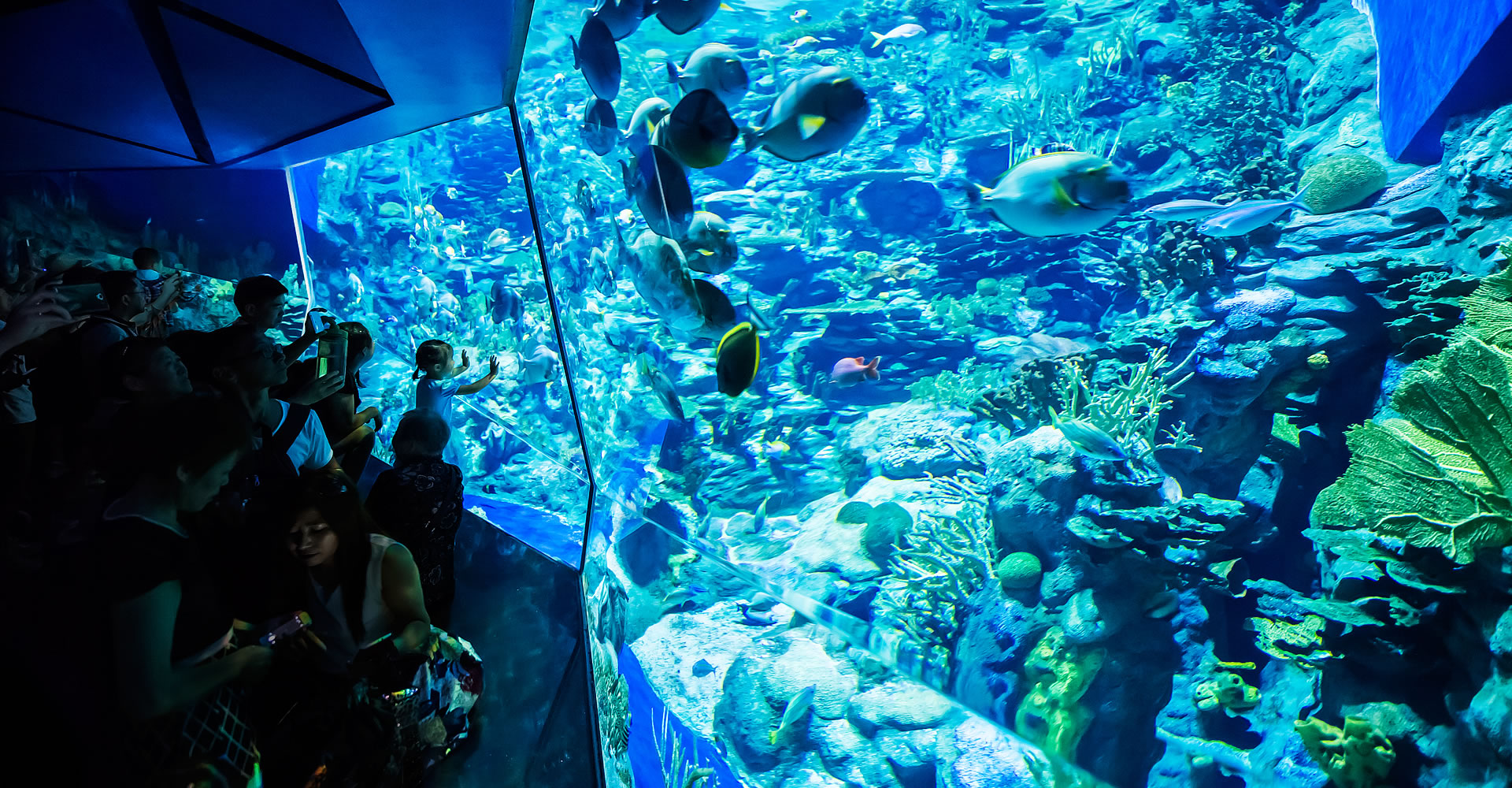 香港海洋公园水族馆图片