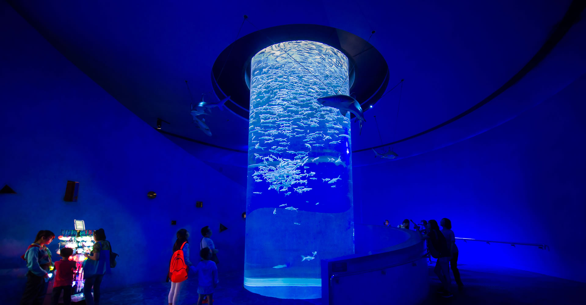 https://media.oceanpark.com.hk/files/s3fs-public/GrandAquarium_03.jpg