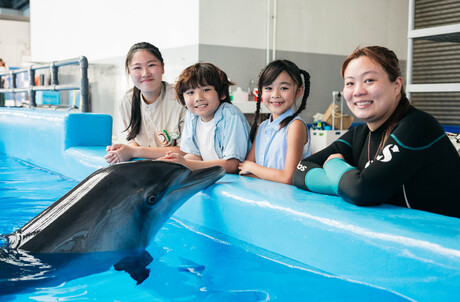 Rovers (Aged 6-8) Team Dolphin