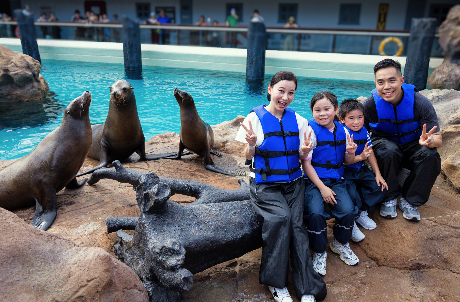 Sea Lion and Seal Expedition