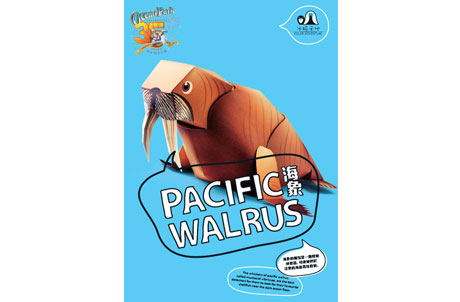 Pacific Walrus 