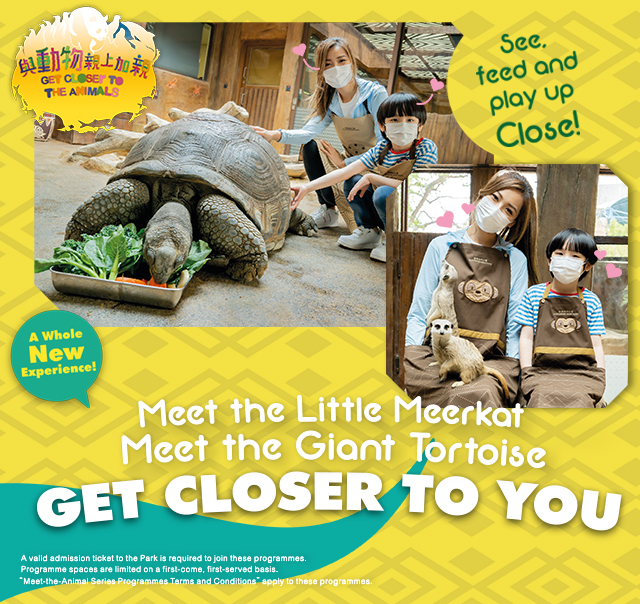 GET CLOSER TO ANIMALS