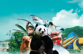 10% off on Ocean Park Admission Ticket for BOC Credit Card Holders