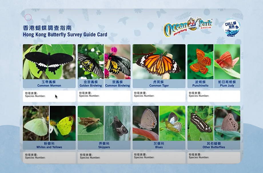 由海洋公園提供的「香港蝴蝶調查指南」，是一個不錯的辨認工具。