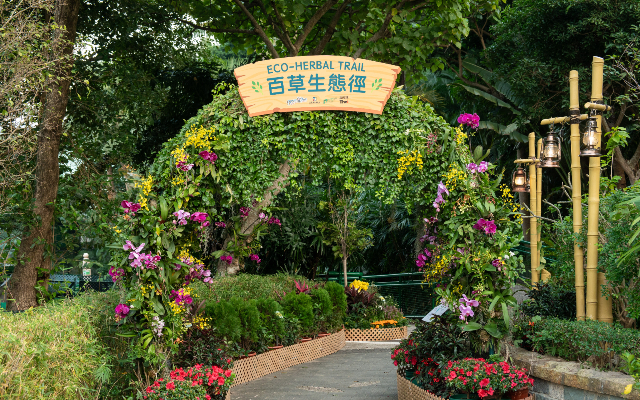 https://media.oceanpark.com.hk/files/s3fs-public/eco-herbal-trail-01-mobile.jpg