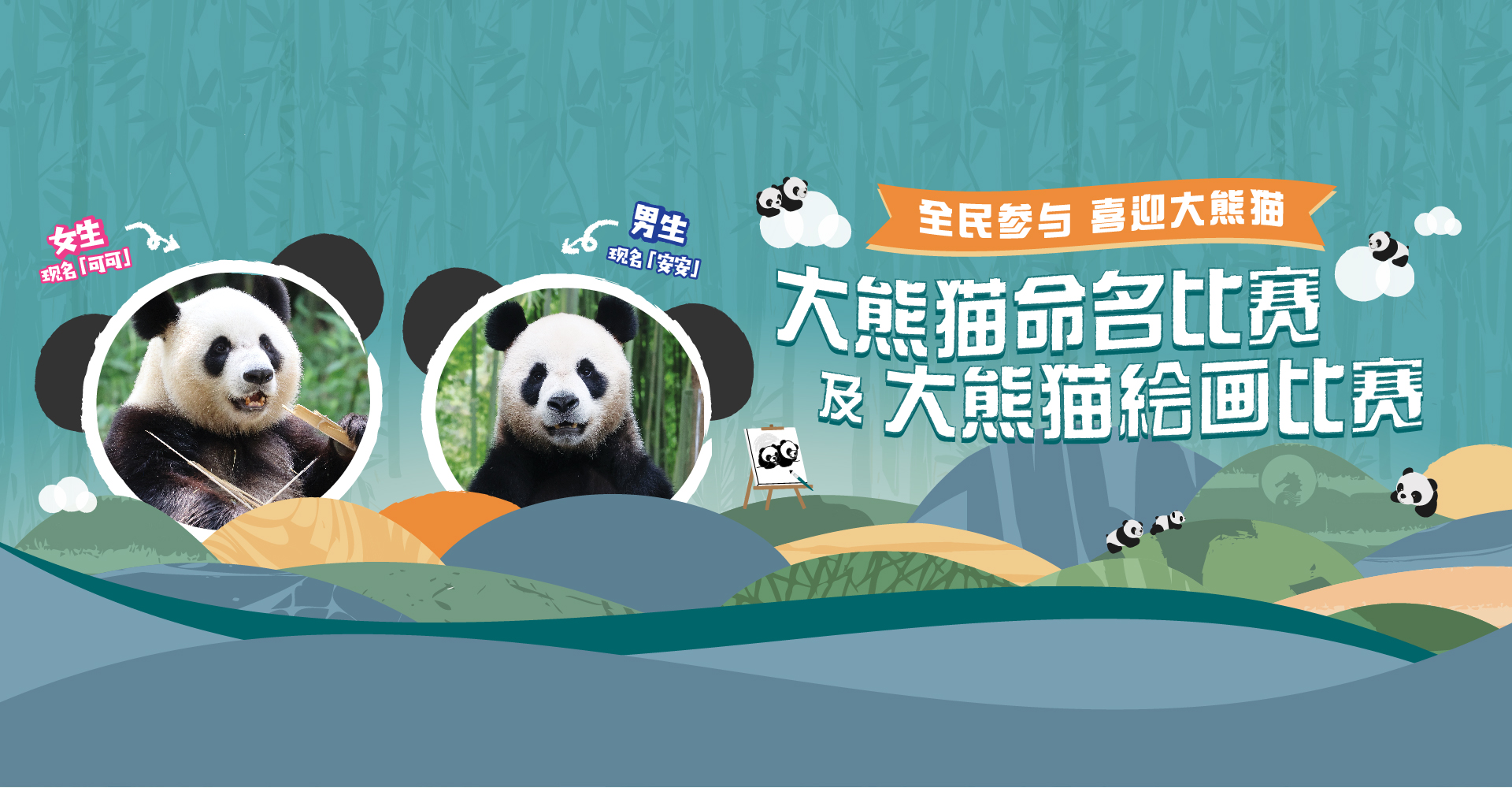 https://media.oceanpark.com.hk/files/s3fs-public/giant-panda-2024-innerpage-desktop-sc.jpg