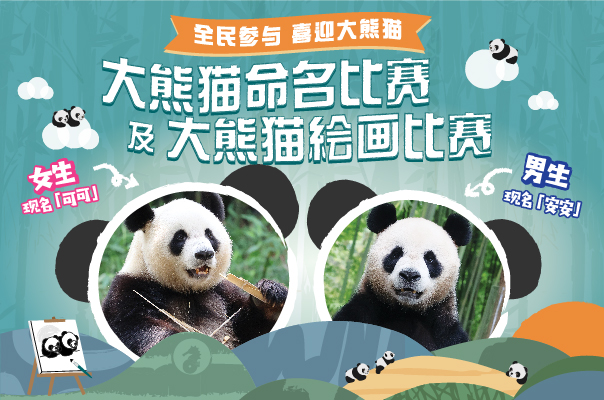 https://media.oceanpark.com.hk/files/s3fs-public/giant-panda-2024-innerpage-mobile-sc.jpg