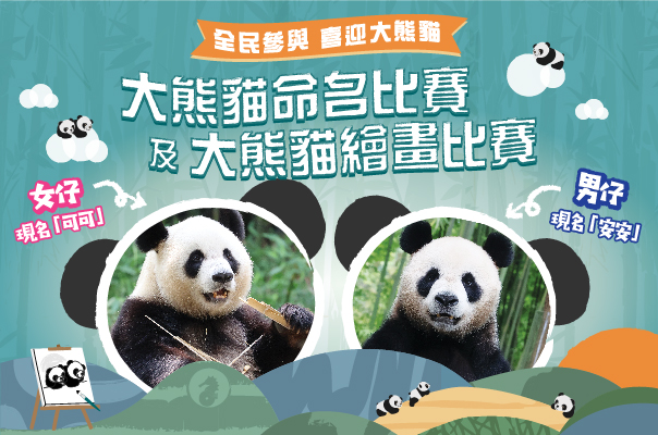 https://media.oceanpark.com.hk/files/s3fs-public/giant-panda-2024-innerpage-mobile-tc.jpg