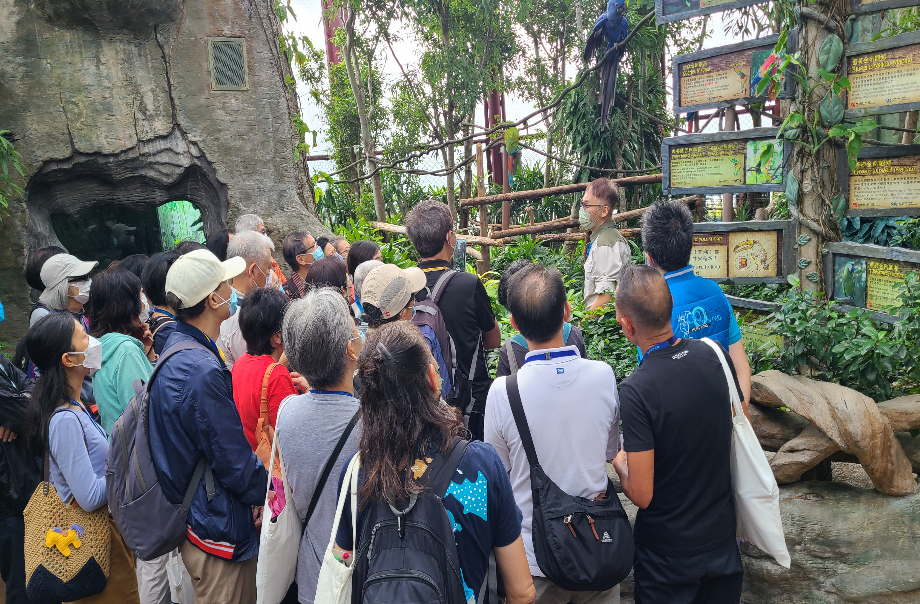 Golden Age Volunteers are learning how to share the conservation messages of Macaws to visitors.