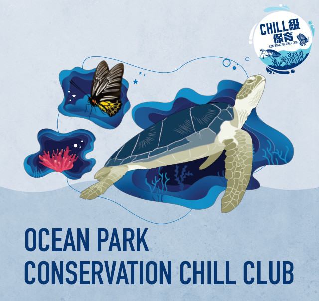 Ocean Park Chill Club Conservation