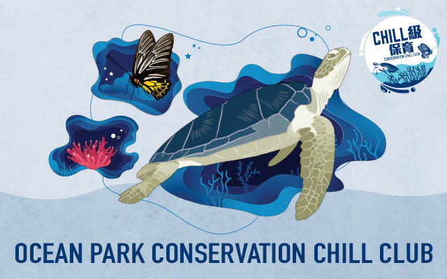 Ocean Park Chill Club Conservation