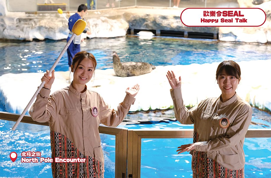 Learn more about the spotted seal! Let’s join the animal presentation with Whiskers Villager. 