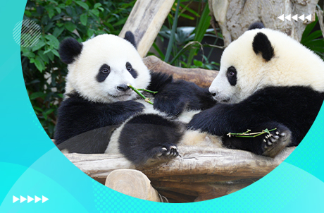 One Admission, Two Park Visits Exclusive for Hong Kong Residents