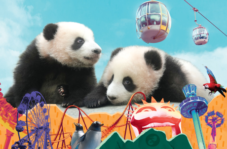 「二人同行」/「三人同行」成人優惠套票，與親朋好友共享歡樂！