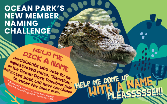 https://media.oceanpark.com.hk/files/s3fs-public/op-crocodile-naming-vote-innerpage-banner-mobile-en.jpg