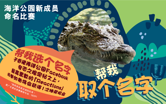 https://media.oceanpark.com.hk/files/s3fs-public/op-crocodile-naming-vote-innerpage-banner-mobile-sc.jpg