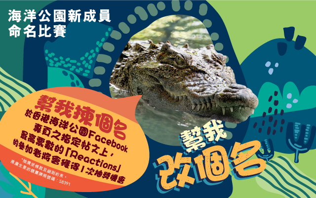 https://media.oceanpark.com.hk/files/s3fs-public/op-crocodile-naming-vote-innerpage-banner-mobile-tc.jpg