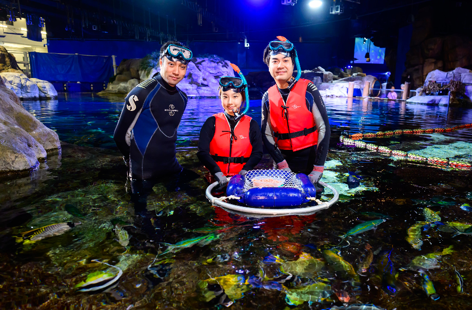 Fish Friends Face-off x Shark & Ray Discovery