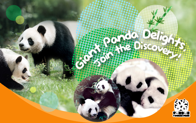 https://media.oceanpark.com.hk/files/s3fs-public/op-gaint-panda-delights-banner-en-640x400.jpg