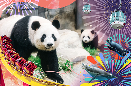 香港特别行政区成立28周年特别优惠