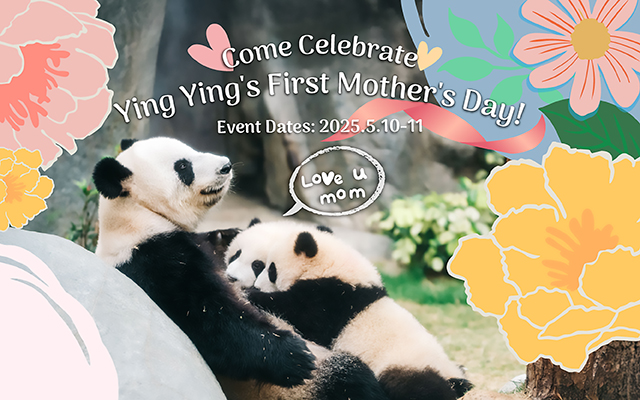 https://media.oceanpark.com.hk/files/s3fs-public/op-mothers-day-inner-mobile-en.jpg