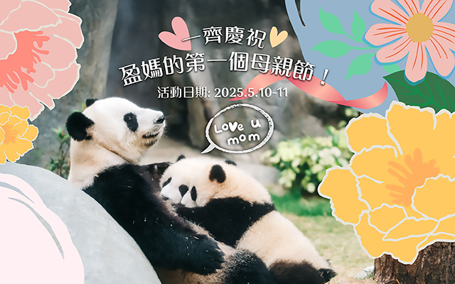 https://media.oceanpark.com.hk/files/s3fs-public/op-mothers-day-inner-mobile-tc.jpg