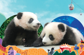 Ocean Park Family and Friends “2-Can-Go”/ “3-Can-Go”/ “4-Can-Go” Package