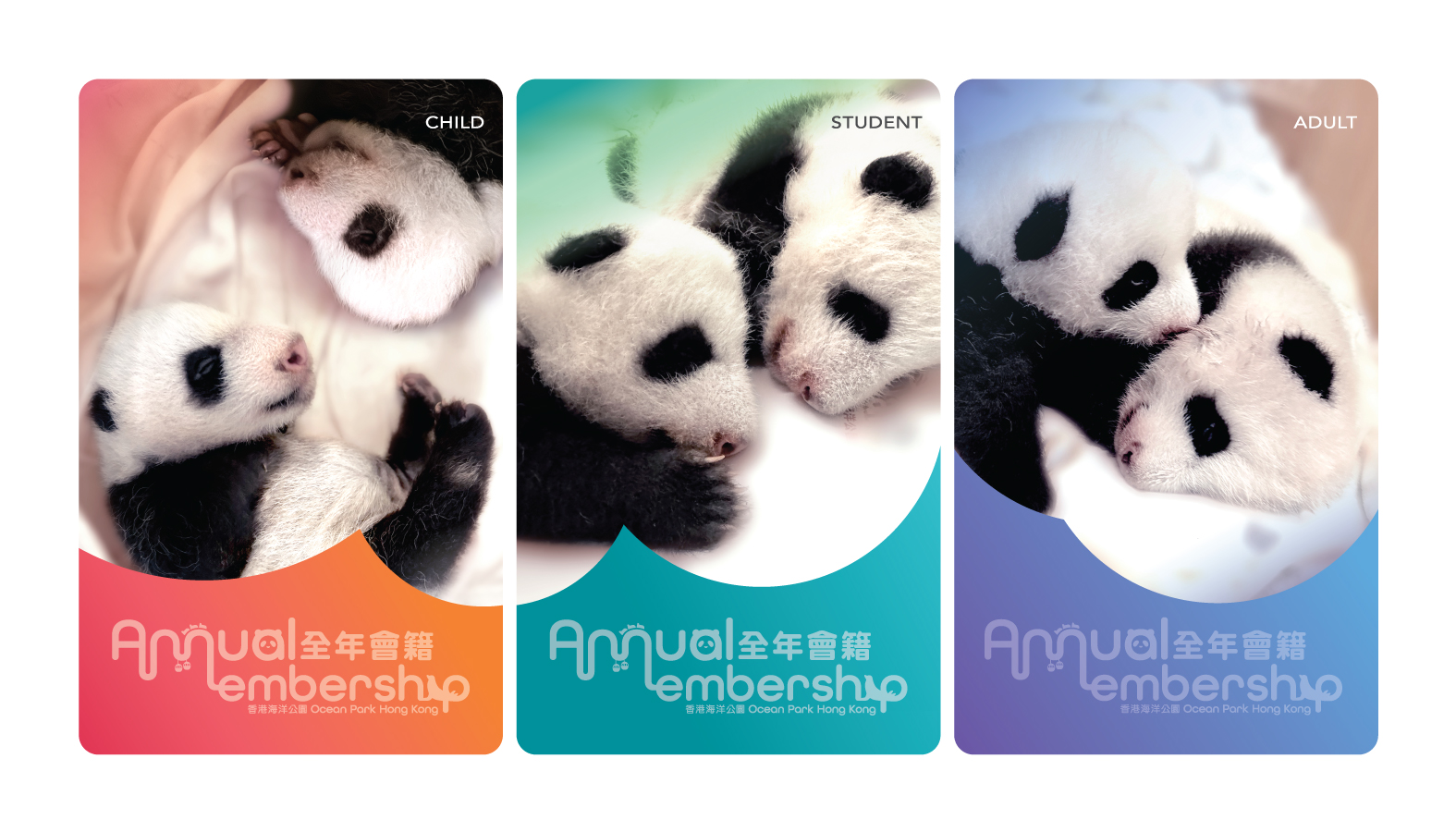 Annual Membership physical membership card – Giant Panda Edition