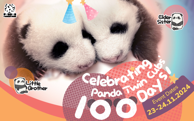 https://media.oceanpark.com.hk/files/s3fs-public/op-panda-100days-640x400-en.jpg