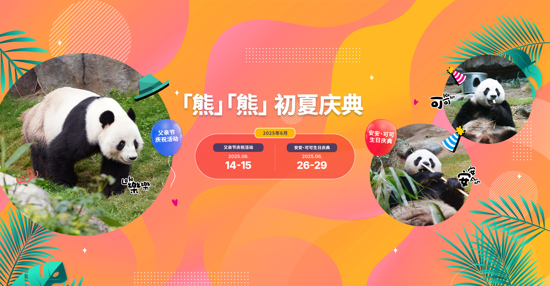 https://media.oceanpark.com.hk/files/s3fs-public/op-panda-tastic-inner-desktop-sc.jpg