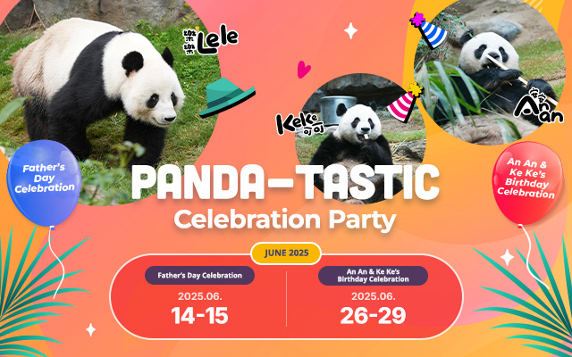 https://media.oceanpark.com.hk/files/s3fs-public/op-panda-tastic-inner-mobile-en.jpg